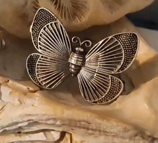 Mariposa